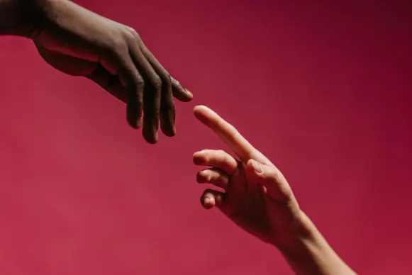 Casino Vegas Crest Tugi